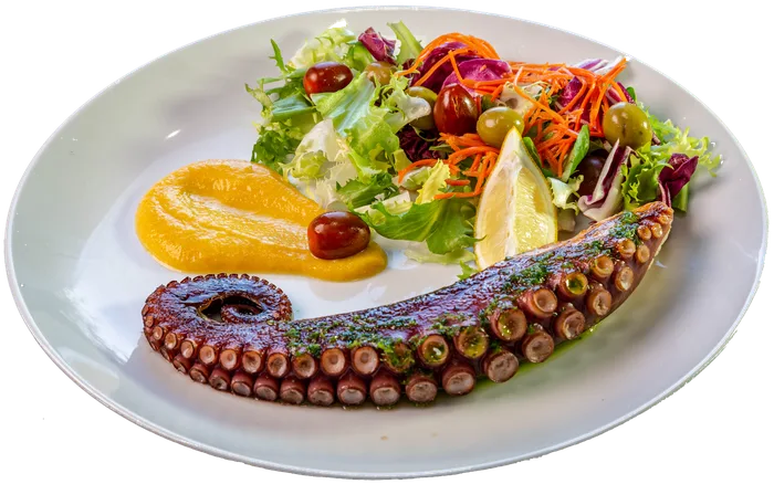 Pulpo Tempo