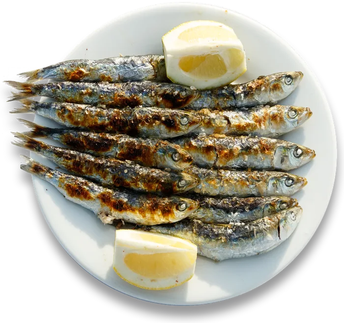 Sardina