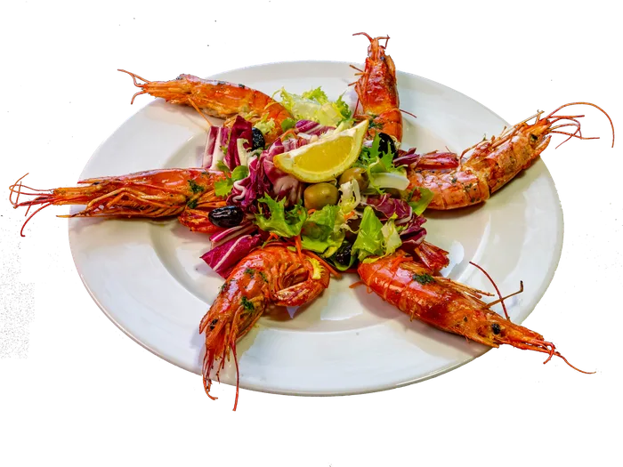Gambas Tempo